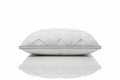 AXONY Oreiller Duvet d'Oie — Moelleux & Gonflant | Confort Hôtelier - AXONY